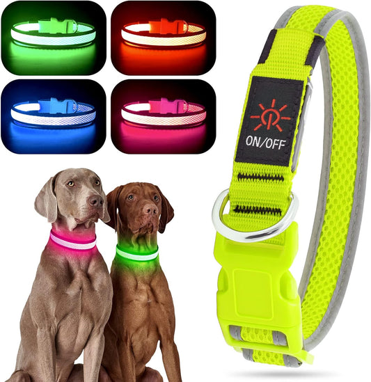 Light up Dog Collar, USB Rechargeable LED Puppy Collar Super Bright Adjustable Glowing Dog Lights for Night Walking (Green, Small)